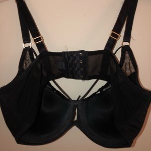 40DDD Ashley Graham Bra